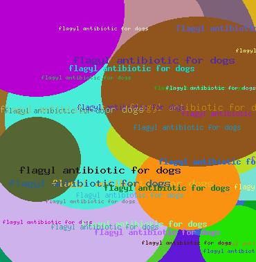 Flagyl Antibiotic For Dogs